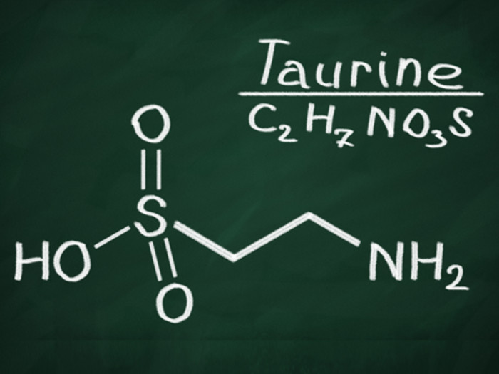 taurine meaning taurine meaning
