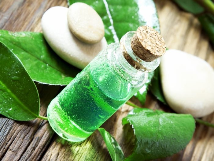 Essential oil in a small glass jar with a lid, placed next to tea tree leaves