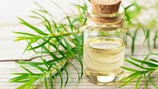 7 Incredible Tea Tree Oil Shampoo Benefits & Uses