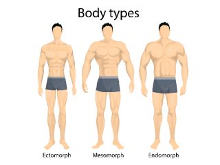 drawing different body types