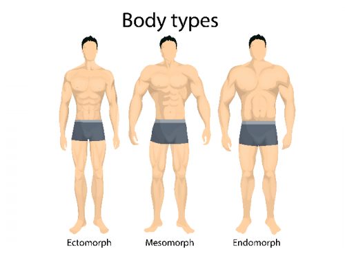 various body shapes