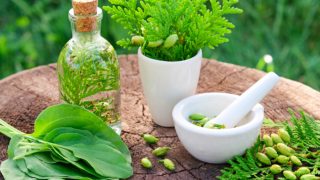 Bottle of thuja oil with a flower pot and a hand mixture of thuja seeds with plantain leaves and mortar on a wood