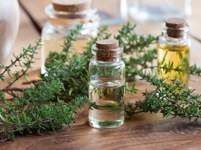 Thyme Essential Oil: 5 Amazing Benefits Of This Medicinal Herb Based  Products