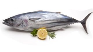 Whole tuna fish with a lemon and dill leaf aside