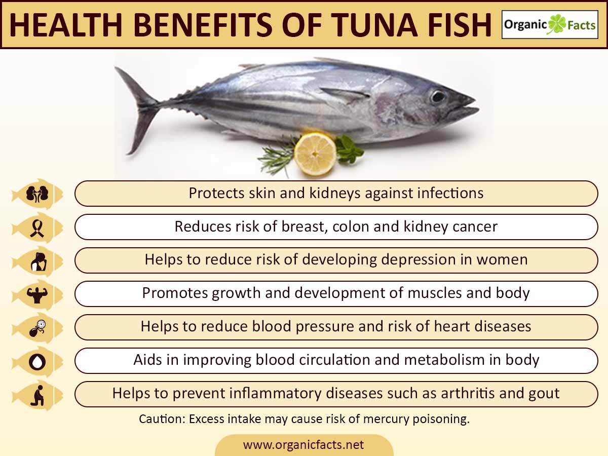 13 Amazing Benefits Of Tuna Fish Organic Facts