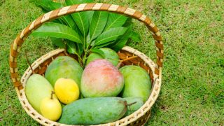 Different types of mangoes in a basket