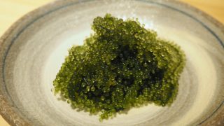 Fresh sea grapes (Umibudo/seaweed) in a white plate