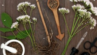 valerian root with its flower neatly placed in a ladle atop a table