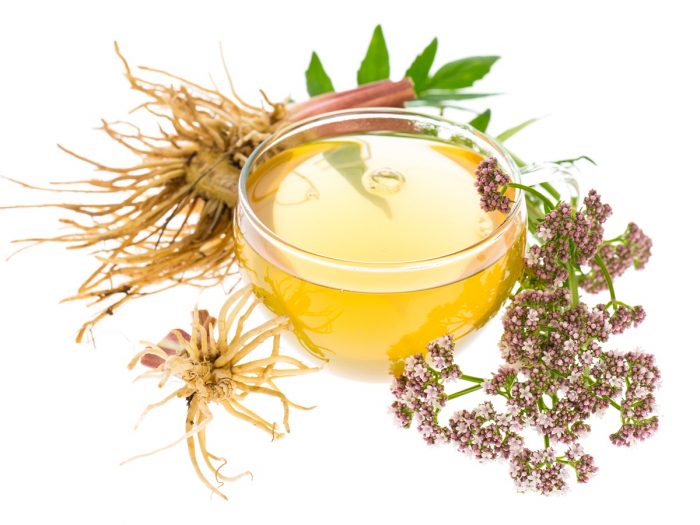 A cup of valerian root tea, kept next to valerian root and flowers, against a white background