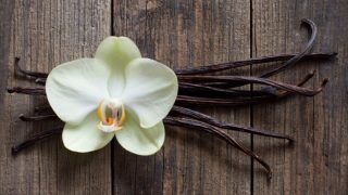 Vanilla sticks with a flower on a wooden table