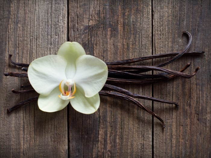 Vanilla sticks with a flower on a wooden table