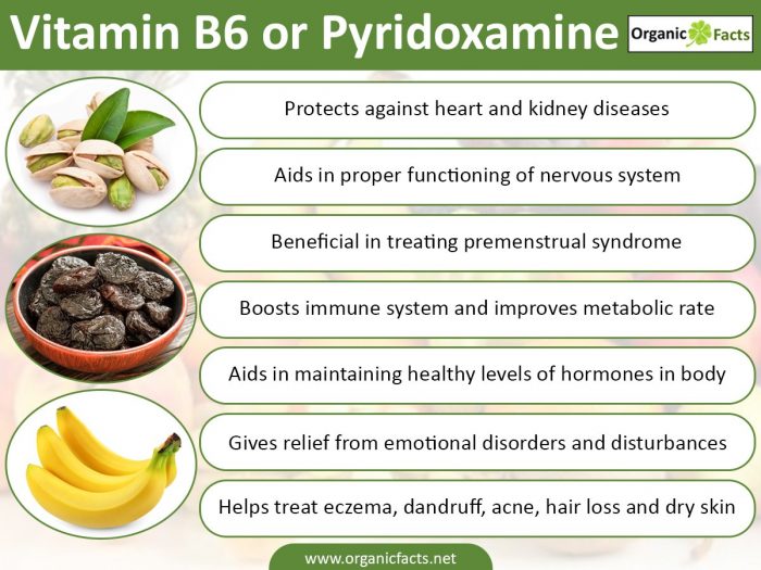 An infographic on the health benefits of vitamin B6 or pyridoxine