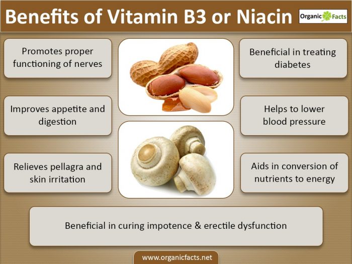 8 Amazing Benefits Of Vitamin B3 Niacin Organic Facts