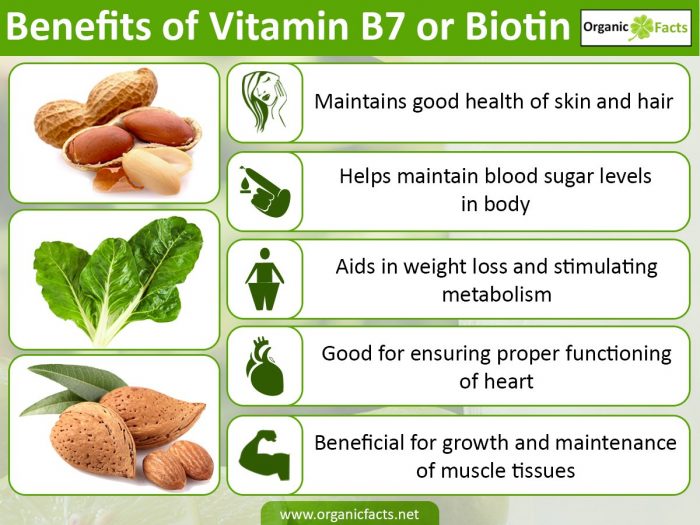 An infographic on the health benefits of vitamin B7 or biotin