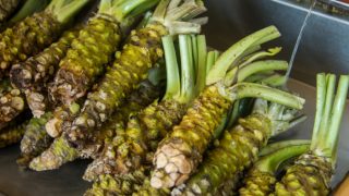 Close-up of fresh raw wasabi roots in a market
