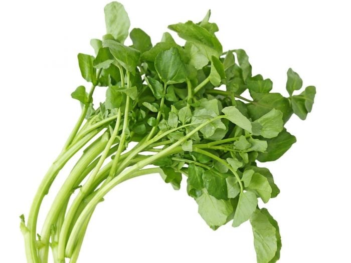 Image result for watercress vegetable