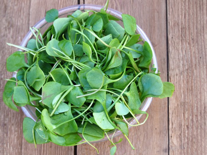 17 Impressive Watercress Benefits | Organic Facts
