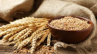 A wooden bowl of wheat with wheat ears surrounded with a sack on a wooden table