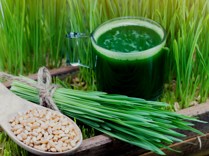 A shot glass of wheatgrass juice, a bunch of fresh wheatgrass leaves, and a spoon of wheat grain
