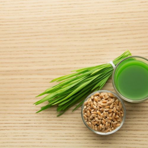 Shot glass of wheat grass juice, bowl with grains and sprouts on wooden table