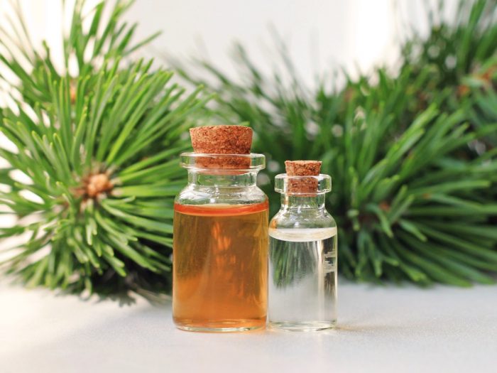 Close up of bottles of white fir oil and branch on a white background