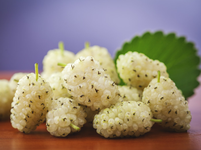 whitemulberries - 8 GEWELDIGE EIGENSCHAPPEN VAN WITTE MOERBEI