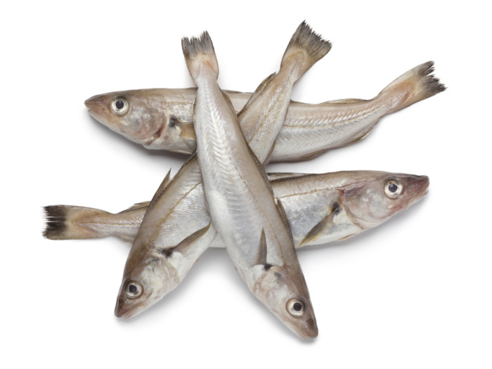 9 Amazing Health Benefits of Whiting Fish | Organic Facts