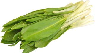 A bunch of wild leeks on a white background