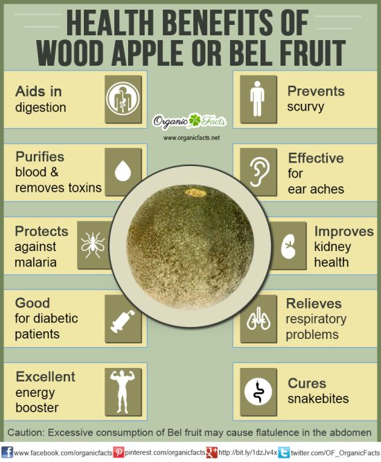 Health Benefits of Wood Apple or Bel Fruit Organic Facts