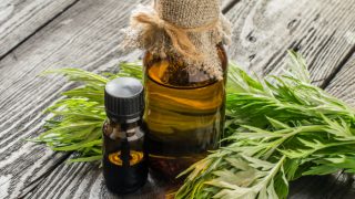 Bottles of wormwood oil and fresh wormwood leaves on a wooden table