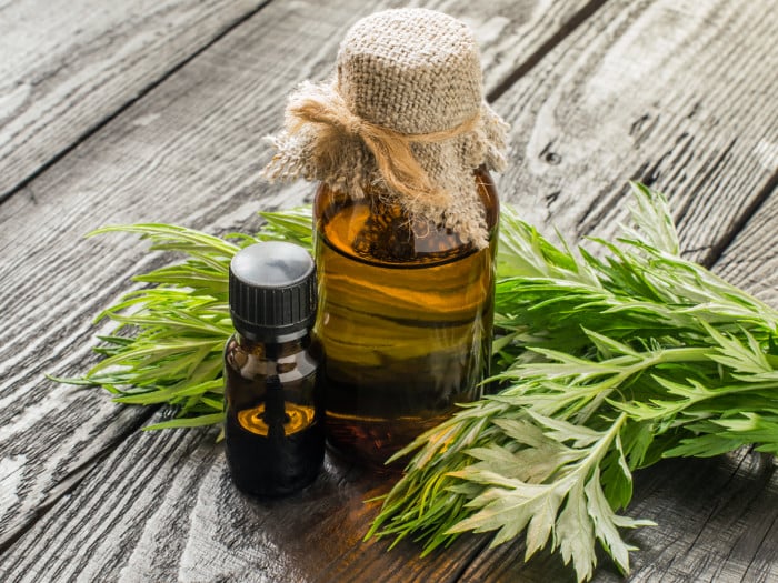10 Incredible Benefits of Wormwood Essential Oil | Organic Facts