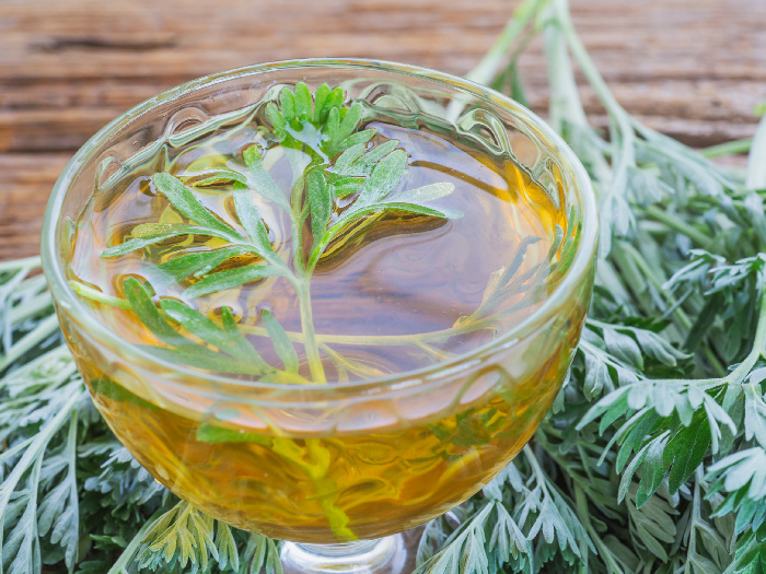 Wormwood tea in a glass cup with wormwood in the background