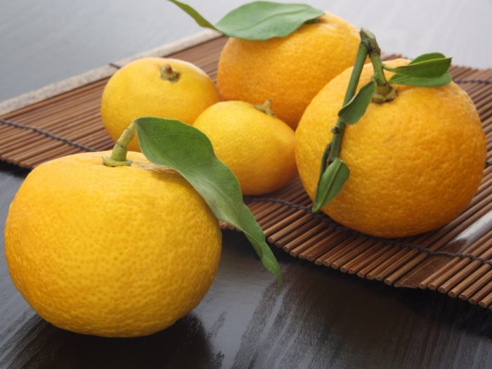 13 Surprising Benefits Of Yuzu Fruit Organic Facts 13-surprising-benefits-of-yuzu-fruit-organic-facts